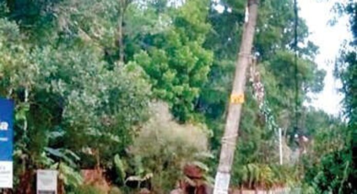 ഓമല്ലൂർ ഇലന്തൂർ റോഡിൽ യാത്രക്കാര്ക്ക് ഭീഷണിയായി വൈദ്യുതത്തൂണുകൾ ഓമല്ലൂർ ഇലന്തൂർ റോഡിൽ യാത്രക്കാര്ക്ക് ഭീഷണിയായി വൈദ്യുതത്തൂണുകൾ