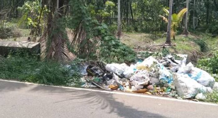 മല്ലശേരിമുക്ക് – പൂങ്കാവ് റോഡ് മാലിന്യ നിക്ഷേപ കേന്ദ്രമായി മാറുന്നു മല്ലശേരിമുക്ക് – പൂങ്കാവ് റോഡ് മാലിന്യ നിക്ഷേപ കേന്ദ്രമായി മാറുന്നു