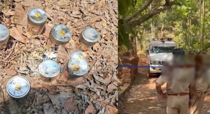 പാനൂർ സ്ഫോടനക്കേസ് : ജാമ്യാപേക്ഷ ഇന്ന് പരിഗണിക്കും പാനൂർ സ്ഫോടനക്കേസ് : ജാമ്യാപേക്ഷ ഇന്ന് പരിഗണിക്കും
