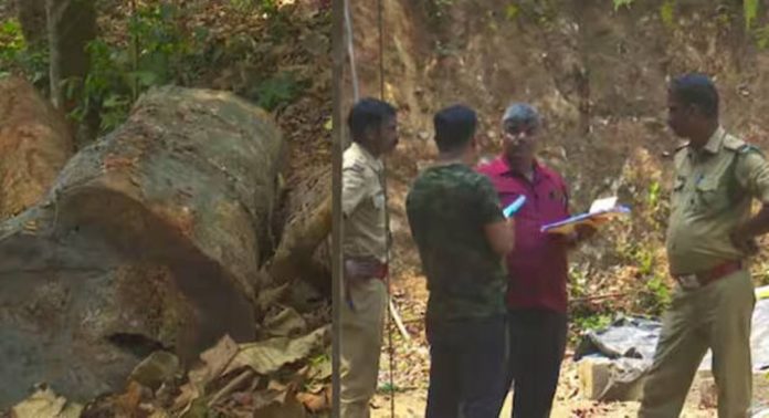 സുഗന്ധഗിരി വനം കൊള്ള : 18 ഉദ്യോഗസ്ഥർക്ക് ഗുരുതര പിഴവുകളെന്ന് അന്വേഷണ റിപ്പോർട്ട് ; വകുപ്പുതല നടപടി ഉടൻ സുഗന്ധഗിരി വനം കൊള്ള : 18 ഉദ്യോഗസ്ഥർക്ക് ഗുരുതര പിഴവുകളെന്ന് അന്വേഷണ റിപ്പോർട്ട് ; വകുപ്പുതല നടപടി ഉടൻ