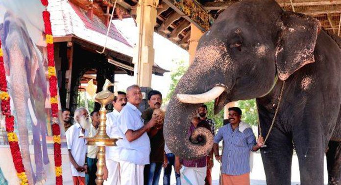 ശ്രീവല്ലഭ മഹാക്ഷേത്രത്തിലെ ഗജവീരനായിരുന്ന ജയചന്ദ്രന്റെ 24-ാം മത് അനുസ്മരണം നടത്തി ശ്രീവല്ലഭ മഹാക്ഷേത്രത്തിലെ ഗജവീരനായിരുന്ന ജയചന്ദ്രന്റെ 24-ാം മത് അനുസ്മരണം നടത്തി