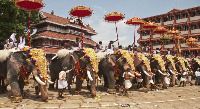 ആനകളുടെ ഫിറ്റ്നസ് പരിശോധിക്കാനെത്തിയ ഹൈക്കോടതി വിദഗ്ധ സംഘത്തെ ഭീഷണിപ്പെടുത്തി ; പാറമേക്കാവ് ദേവസ്വം സെക്രട്ടറിയ്ക്കെതിരെ അമിക്കസ് ക്യൂറി ആനകളുടെ ഫിറ്റ്നസ് പരിശോധിക്കാനെത്തിയ ഹൈക്കോടതി വിദഗ്ധ സംഘത്തെ ഭീഷണിപ്പെടുത്തി ; പാറമേക്കാവ് ദേവസ്വം സെക്രട്ടറിയ്ക്കെതിരെ അമിക്കസ് ക്യൂറി