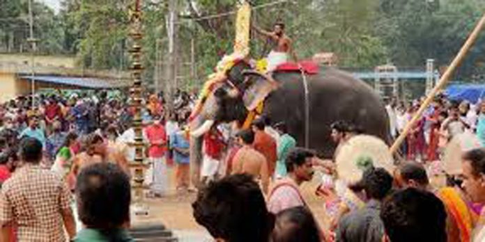 പുലിപ്പാറമല വനദുർഗാക്ഷേത്രത്തിലെ ഉത്സവത്തിന് നാളെ തുടക്കമാകും പുലിപ്പാറമല വനദുർഗാക്ഷേത്രത്തിലെ ഉത്സവത്തിന് നാളെ തുടക്കമാകും