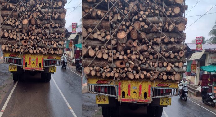 ലോറികളിൽ അമിതമായി തടികൾ കയറ്റി പോകുന്നത് അപകട ഭീഷണിയാകുന്നു ലോറികളിൽ അമിതമായി തടികൾ കയറ്റി പോകുന്നത് അപകട ഭീഷണിയാകുന്നു
