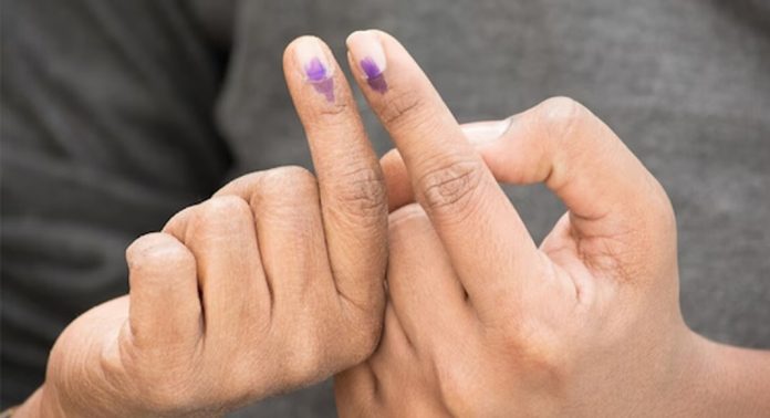 വീട്ടില് വോട്ട് ഇനി സുരക്ഷിതം, സുതാര്യം ; ജില്ലയില് വിപുലമായ ക്രമീകരണങ്ങൾ ഒരുക്കി വീട്ടില് വോട്ട് ഇനി സുരക്ഷിതം, സുതാര്യം ; ജില്ലയില് വിപുലമായ ക്രമീകരണങ്ങൾ ഒരുക്കി