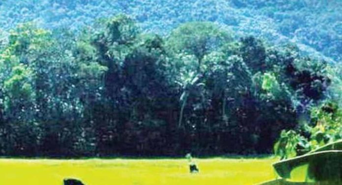 കുരമ്പാല ആതിരമലയില് ഉരുൾപൊട്ടൽ, മണ്ണിടിച്ചിൽ സാധ്യതാ മുന്നറിയിപ്പ് കുരമ്പാല ആതിരമലയില് ഉരുൾപൊട്ടൽ, മണ്ണിടിച്ചിൽ സാധ്യതാ മുന്നറിയിപ്പ്