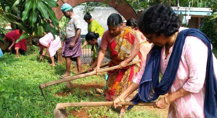 നെടുമൺ സെന്റ് ജോർജ് യു.പി സ്കൂൾ പരിസരം തൊഴിലുറപ്പ് തൊഴിലാളികളും കുടുംബശ്രീ പ്രവർത്തകരും ചേർന്ന് ശുചീകരിച്ചു നെടുമൺ സെന്റ് ജോർജ് യു.പി സ്കൂൾ പരിസരം തൊഴിലുറപ്പ് തൊഴിലാളികളും കുടുംബശ്രീ പ്രവർത്തകരും ചേർന്ന് ശുചീകരിച്ചു