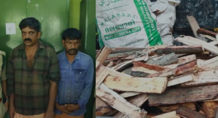പട്ടാമ്പിയിൽ വൻ ചന്ദനവേട്ട : 236 കിലോ ചന്ദനവുമായി രണ്ടുപേർ പിടിയിൽ പട്ടാമ്പിയിൽ വൻ ചന്ദനവേട്ട : 236 കിലോ ചന്ദനവുമായി രണ്ടുപേർ പിടിയിൽ