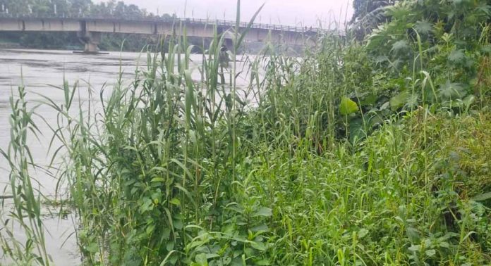 മഴ കനത്തിട്ടും കടവുകളുടെ അവസ്ഥ പരിതാപകരം മഴ കനത്തിട്ടും കടവുകളുടെ അവസ്ഥ പരിതാപകരം