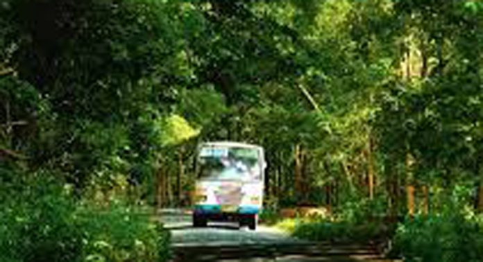 ഗവി ടൂറിസം പാക്കേജിന്റെ നിരക്ക് വര്ദ്ധിപ്പിച്ചതോടെ കെ.എസ്.ആര്.ടി.സിയുടെ ബുക്കിംഗ് കുറഞ്ഞു ഗവി ടൂറിസം പാക്കേജിന്റെ നിരക്ക് വര്ദ്ധിപ്പിച്ചതോടെ കെ.എസ്.ആര്.ടി.സിയുടെ ബുക്കിംഗ് കുറഞ്ഞു