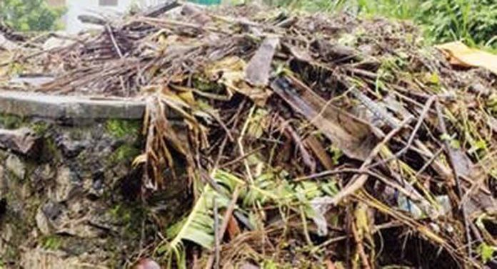 ഇരപ്പൻതോട്ടിൽ അടിഞ്ഞുകൂടിയ മാലിന്യം നീക്കംചെയ്തു ഇരപ്പൻതോട്ടിൽ അടിഞ്ഞുകൂടിയ മാലിന്യം നീക്കംചെയ്തു