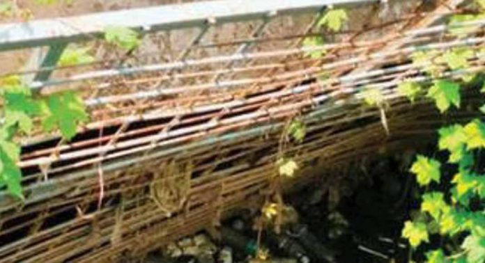 മഴ ; തോടുകളുടെയും അക്വാഡെക്റ്റുകളുടെയും അറ്റകുറ്റപ്പണികൾ പലയിടത്തും നടത്തിയിട്ടില്ല മഴ ; തോടുകളുടെയും അക്വാഡെക്റ്റുകളുടെയും അറ്റകുറ്റപ്പണികൾ പലയിടത്തും നടത്തിയിട്ടില്ല