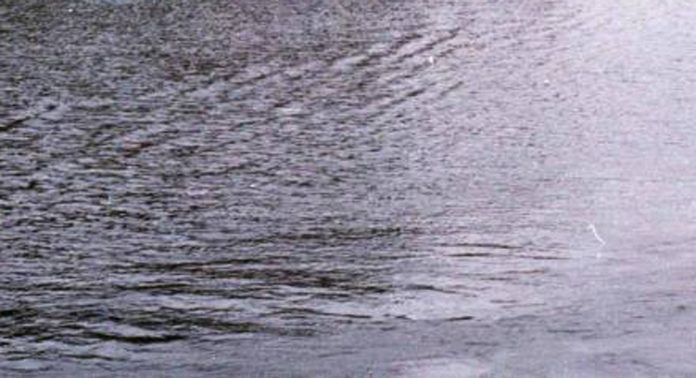 പുല്ലാട് ഇരപ്പൻതോട്ടിൽ മാലിന്യം അടിഞ്ഞുകൂടി ഒഴുക്കുനിലച്ചു പുല്ലാട് ഇരപ്പൻതോട്ടിൽ മാലിന്യം അടിഞ്ഞുകൂടി ഒഴുക്കുനിലച്ചു