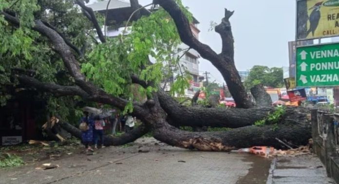 വ്യാപക മഴയ്ക്ക് സാധ്യത; 7 ജില്ലകളില് ഓറഞ്ച് അലര്ട്ട് ; മഴക്കെടുതിയില് മധ്യകേരളം ; ആലപ്പുഴയിൽ വീടുകൾക്ക് നാശം വ്യാപക മഴയ്ക്ക് സാധ്യത; 7 ജില്ലകളില് ഓറഞ്ച് അലര്ട്ട് ; മഴക്കെടുതിയില് മധ്യകേരളം ; ആലപ്പുഴയിൽ വീടുകൾക്ക് നാശം