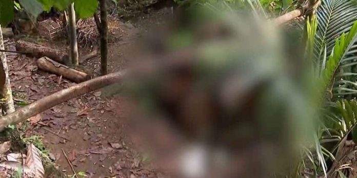 തൊടുപുഴയില് അജ്ഞാത ജീവി ആടുകളെ കടിച്ചു കൊന്നു ; പുലിയെന്ന് നാട്ടുകാര് തൊടുപുഴയില് അജ്ഞാത ജീവി ആടുകളെ കടിച്ചു കൊന്നു ; പുലിയെന്ന് നാട്ടുകാര്