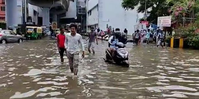 കൊച്ചിയിലെ വെള്ളക്കെട്ടിന് കളക്ടര് വിചാരിച്ചാല് പരിഹാരമാവില്ല : കൂട്ടായ പരിശ്രമം ആവശ്യമാണെന്ന് ഹൈക്കോടതി കൊച്ചിയിലെ വെള്ളക്കെട്ടിന് കളക്ടര് വിചാരിച്ചാല് പരിഹാരമാവില്ല : കൂട്ടായ പരിശ്രമം ആവശ്യമാണെന്ന് ഹൈക്കോടതി