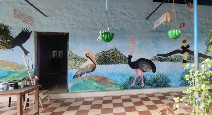 കുരുന്നുകളെ വരവേല്ക്കാന് കൗതുകക്കാഴ്ച ഒരുക്കി എണ്ണൂറാം വയൽ സി എം എസ് എൽ പി സ്കൂൾ കുരുന്നുകളെ വരവേല്ക്കാന് കൗതുകക്കാഴ്ച ഒരുക്കി എണ്ണൂറാം വയൽ സി എം എസ് എൽ പി സ്കൂൾ