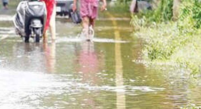 മഴ കനക്കുന്നു ; പലയിടത്തും നാശനഷ്ടം മഴ കനക്കുന്നു ; പലയിടത്തും നാശനഷ്ടം