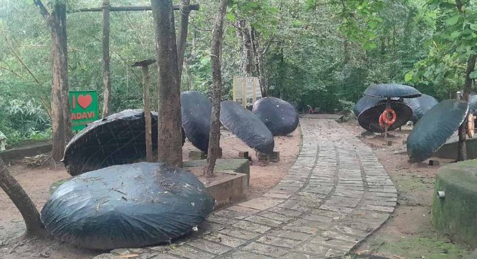 അടവിയിലെ കുട്ടവഞ്ചികൾ നാശാവസ്ഥയിൽ ; തിരിഞ്ഞു നോക്കാതെ അധികൃതർ അടവിയിലെ കുട്ടവഞ്ചികൾ നാശാവസ്ഥയിൽ ; തിരിഞ്ഞു നോക്കാതെ അധികൃതർ