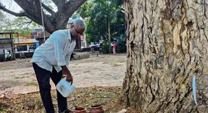 ഗാന്ധി സ്മൃതി മൈതാനത്തില് മണ്പാത്രങ്ങളില് കിളികള്ക്ക് ദാഹജലം ഒരുക്കി വി.കെ. സ്റ്റാന്ലി ഗാന്ധി സ്മൃതി മൈതാനത്തില് മണ്പാത്രങ്ങളില് കിളികള്ക്ക് ദാഹജലം ഒരുക്കി വി.കെ. സ്റ്റാന്ലി