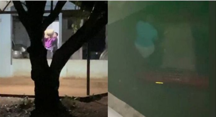 സ്കൂളിലെ അരി കടത്തിയ സംഭവം : അന്വേഷണ റിപ്പോർട്ട് പുറത്ത് ; അധ്യാപകർക്കെതിരെ ക്രിമിനൽ നടപടിക്ക് ശുപാര്ശ സ്കൂളിലെ അരി കടത്തിയ സംഭവം : അന്വേഷണ റിപ്പോർട്ട് പുറത്ത് ; അധ്യാപകർക്കെതിരെ ക്രിമിനൽ നടപടിക്ക് ശുപാര്ശ