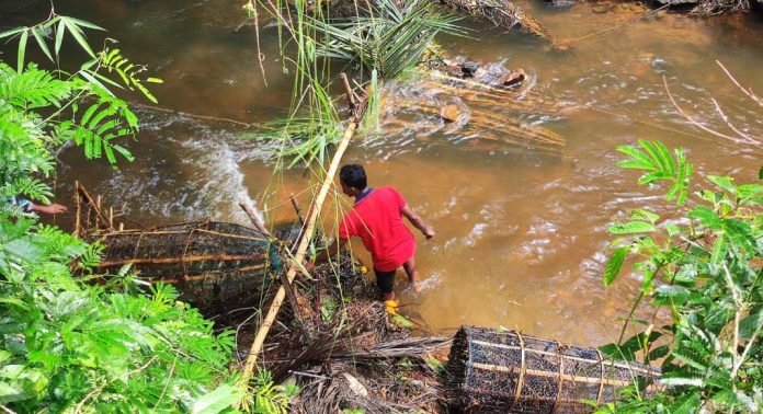 അനധികൃത മത്സ്യബന്ധനം : വലകളും കൂടുകളും പിടിച്ചെടുത്തു അനധികൃത മത്സ്യബന്ധനം : വലകളും കൂടുകളും പിടിച്ചെടുത്തു