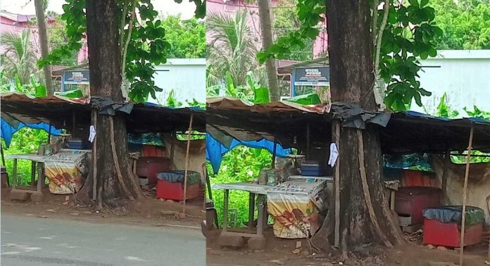 മുരിങ്ങ മംഗലം ജംഗ്ഷനിലെ ബദാം മരം അപകടാവസ്ഥയിൽ മുരിങ്ങ മംഗലം ജംഗ്ഷനിലെ ബദാം മരം അപകടാവസ്ഥയിൽ
