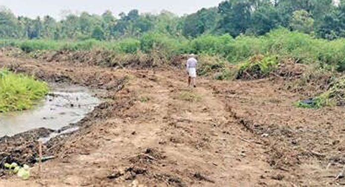 ചെങ്ങന്നൂരിൽ മഴക്കാലപൂർവ്വ ശുചീകരണത്തിനു തുടക്കമായി ചെങ്ങന്നൂരിൽ മഴക്കാലപൂർവ്വ ശുചീകരണത്തിനു തുടക്കമായി