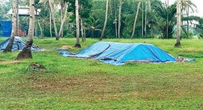 പുഞ്ചക്കൊയ്ത്ത് അവസാനഘട്ടമെത്തിയിട്ടും നെല്ലുസംഭരണം കാര്യക്ഷമമാക്കാതെ സപ്ലൈകോ പുഞ്ചക്കൊയ്ത്ത് അവസാനഘട്ടമെത്തിയിട്ടും നെല്ലുസംഭരണം കാര്യക്ഷമമാക്കാതെ സപ്ലൈകോ