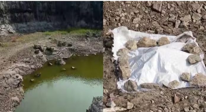 പാലക്കാട് രാമശ്ശേരിയില് തലയോട്ടി കണ്ടെത്തി പാലക്കാട് രാമശ്ശേരിയില് തലയോട്ടി കണ്ടെത്തി