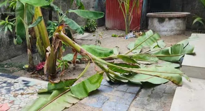 മദ്യപാനവും ലഹരി ഉപയോഗവും ചോദ്യം ചെയ്ത ഗൃഹനാഥന്റെ വീടിനു നേരെ ആക്രമണം മദ്യപാനവും ലഹരി ഉപയോഗവും ചോദ്യം ചെയ്ത ഗൃഹനാഥന്റെ വീടിനു നേരെ ആക്രമണം