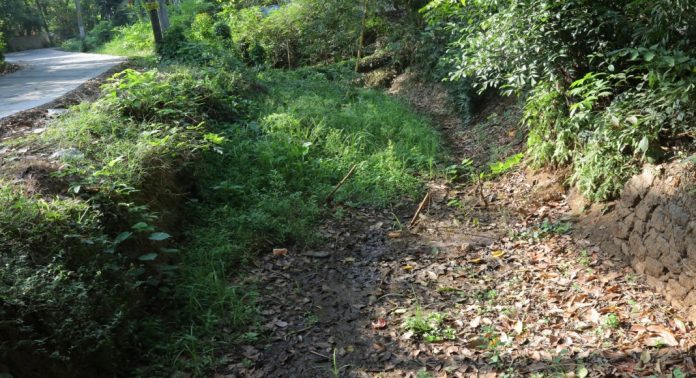 ജലസ്രോതസ്സുകകളിലെ എക്കൽ നീക്കണം ; ആവശ്യവുമായി എടത്വാ വികസന സമിതി ജലസ്രോതസ്സുകകളിലെ എക്കൽ നീക്കണം ; ആവശ്യവുമായി എടത്വാ വികസന സമിതി
