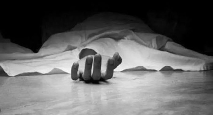 കാണാതായ വയോധികയെ മരിച്ച നിലയിൽ കണ്ടെത്തി ; മൃതദേഹം തെരുവുനായ്ക്കൾ ഭക്ഷിച്ചു കാണാതായ വയോധികയെ മരിച്ച നിലയിൽ കണ്ടെത്തി ; മൃതദേഹം തെരുവുനായ്ക്കൾ ഭക്ഷിച്ചു