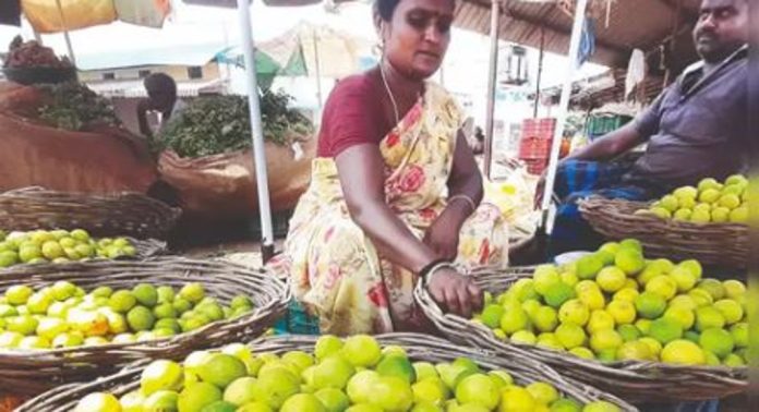 കൊടുംച്ചൂടിൽ വലഞ്ഞ് ജനങ്ങൾ ; സംസ്ഥാനത്ത് കുക്കുമ്പർ, ചെറുനാരങ്ങാ വില കുതിക്കുന്നു കൊടുംച്ചൂടിൽ വലഞ്ഞ് ജനങ്ങൾ ; സംസ്ഥാനത്ത് കുക്കുമ്പർ, ചെറുനാരങ്ങാ വില കുതിക്കുന്നു