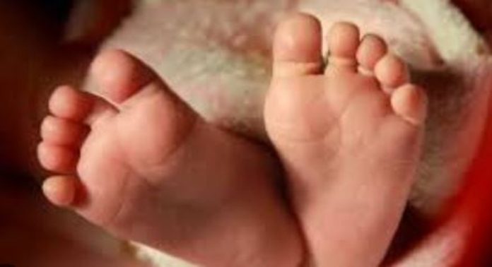 എറണാകുളത്ത് ഹോസ്റ്റലിലെ ശൗചാലയത്തില് യുവതി പ്രസവിച്ചു ; അമ്മയേയും കുഞ്ഞിനെയും ആശുപത്രിയിലേക്ക് മാറ്റി എറണാകുളത്ത് ഹോസ്റ്റലിലെ ശൗചാലയത്തില് യുവതി പ്രസവിച്ചു ; അമ്മയേയും കുഞ്ഞിനെയും ആശുപത്രിയിലേക്ക് മാറ്റി