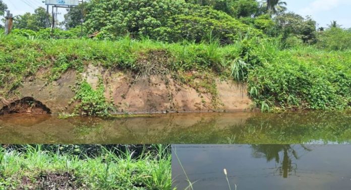 കോഴഞ്ചേരി ഈസ്റ്റ് കനാലിൽ കക്കൂസ് മാലിന്യം തള്ളുന്നു ; പ്രതിഷേധവുമായി നാട്ടുകാർ കോഴഞ്ചേരി ഈസ്റ്റ് കനാലിൽ കക്കൂസ് മാലിന്യം തള്ളുന്നു ; പ്രതിഷേധവുമായി നാട്ടുകാർ