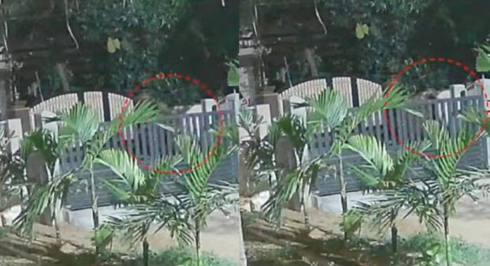 പത്തു വയസുകാരിയെ തട്ടിക്കൊണ്ടുപോയി പീഡിപ്പിച്ച കേസ് ; പ്രതി അറസ്റ്റിൽ പത്തു വയസുകാരിയെ തട്ടിക്കൊണ്ടുപോയി പീഡിപ്പിച്ച കേസ് ; പ്രതി അറസ്റ്റിൽ