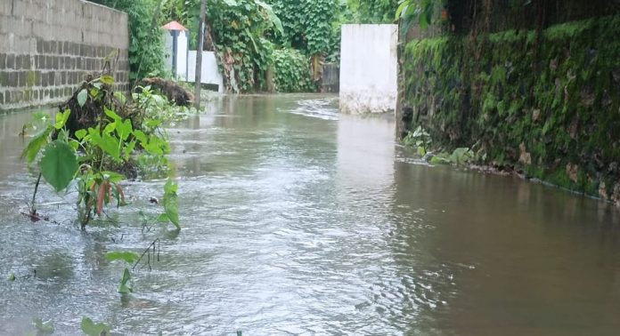 മഴക്കാല ശുചീകരണ പ്രവർത്തനങ്ങൾ പാളി ; അധികാരികളെ കാണുന്നില്ലേ ഈ ദുരിത കാഴ്ച… മഴക്കാല ശുചീകരണ പ്രവർത്തനങ്ങൾ പാളി ; അധികാരികളെ കാണുന്നില്ലേ ഈ ദുരിത കാഴ്ച…