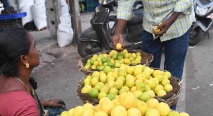 വേനൽച്ചൂട് അതിരൂക്ഷം ; സംസ്ഥാനത്ത് ചെറുനാരങ്ങയുടെ വിലയും കുതിച്ചുയരുന്നു വേനൽച്ചൂട് അതിരൂക്ഷം ; സംസ്ഥാനത്ത് ചെറുനാരങ്ങയുടെ വിലയും കുതിച്ചുയരുന്നു