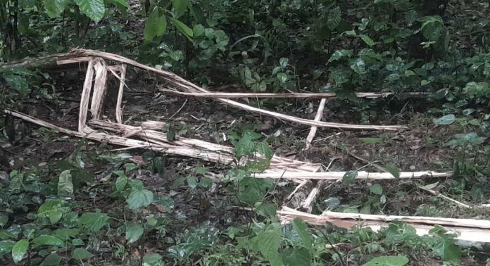 കാട്ടാന ശല്യത്തിൽ പൊറുതിമുട്ടി വടക്കേ മണ്ണീറ നിവാസികൾ കാട്ടാന ശല്യത്തിൽ പൊറുതിമുട്ടി വടക്കേ മണ്ണീറ നിവാസികൾ