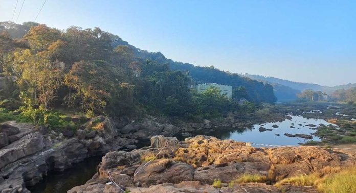 വെള്ളമില്ല : പ്രതാപം നഷ്ടപ്പെട്ട് പെരുന്തേനരുവി വെള്ളമില്ല : പ്രതാപം നഷ്ടപ്പെട്ട് പെരുന്തേനരുവി