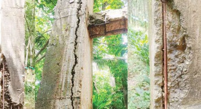കല്ലട ജലസേചന പദ്ധതിയുടെ ജലവിതരണ സംവിധാനങ്ങൾ നശിക്കുന്നു കല്ലട ജലസേചന പദ്ധതിയുടെ ജലവിതരണ സംവിധാനങ്ങൾ നശിക്കുന്നു