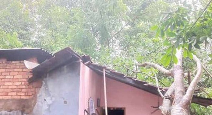 കനത്ത മഴ ; പന്തളം നഗരസഭാ പ്രദേശത്തും കുളനട ഭാഗത്തും വ്യാപക നാശനഷ്ടം കനത്ത മഴ ; പന്തളം നഗരസഭാ പ്രദേശത്തും കുളനട ഭാഗത്തും വ്യാപക നാശനഷ്ടം