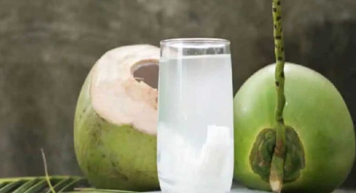 ഈ പൊള്ളുന്ന ചൂടിൽ കരിക്കിൻ വെള്ളം കുടിക്കുന്നത് ശീലമാക്കൂ, ഗുണങ്ങൾ ഏറെയാണ് ഈ പൊള്ളുന്ന ചൂടിൽ കരിക്കിൻ വെള്ളം കുടിക്കുന്നത് ശീലമാക്കൂ, ഗുണങ്ങൾ ഏറെയാണ്
