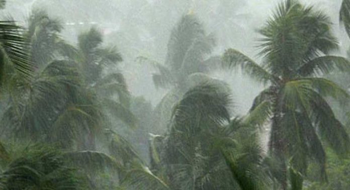 ശക്തമായ കാറ്റ് : ദുരന്ത നിവാരണ അതോറിറ്റിയുടെ പൊതുജാഗ്രത നിര്ദേശങ്ങള് ശക്തമായ കാറ്റ് : ദുരന്ത നിവാരണ അതോറിറ്റിയുടെ പൊതുജാഗ്രത നിര്ദേശങ്ങള്