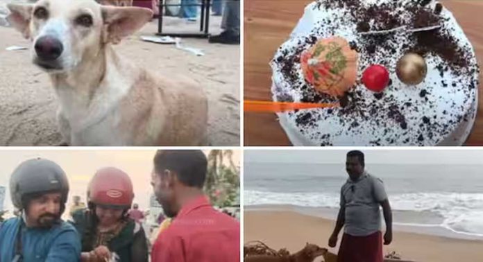 നാടിന്റെ കാവൽക്കാരനായ തെരുവുനായയുടെ ജന്മദിനമാഘോഷിച്ച് നാട്ടുകാർ, 100 ബിരിയാണി വിതരണം ചെയ്തു നാടിന്റെ കാവൽക്കാരനായ തെരുവുനായയുടെ ജന്മദിനമാഘോഷിച്ച് നാട്ടുകാർ, 100 ബിരിയാണി വിതരണം ചെയ്തു