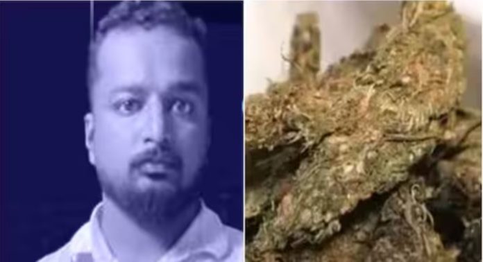 ലോഡ്ജിൽ മുറിയെടുത്ത് കഞ്ചാവ് വിൽപ്പന ; യുവാവ് അറസ്റ്റിൽ, രണ്ടുപേർ ഒളിവിൽ ലോഡ്ജിൽ മുറിയെടുത്ത് കഞ്ചാവ് വിൽപ്പന ; യുവാവ് അറസ്റ്റിൽ, രണ്ടുപേർ ഒളിവിൽ