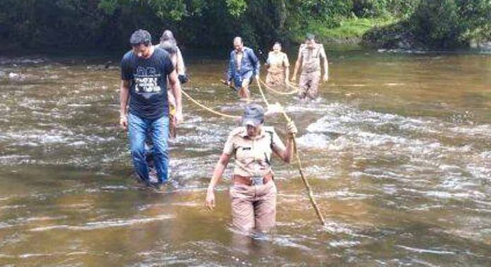 വനംവകുപ്പിന്റെ നേതൃത്വത്തിൽ നടന്ന കാട്ടാന സെൻസസ് പൂർത്തിയായി വനംവകുപ്പിന്റെ നേതൃത്വത്തിൽ നടന്ന കാട്ടാന സെൻസസ് പൂർത്തിയായി