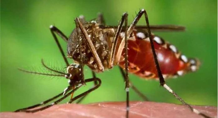 നാളെ (12) ഡ്രൈ ഡെ ; ജില്ലയിൽ ആരോഗ്യ പ്രവർത്തകർ വീടുകൾ സന്ദർശിക്കും നാളെ (12) ഡ്രൈ ഡെ ; ജില്ലയിൽ ആരോഗ്യ പ്രവർത്തകർ വീടുകൾ സന്ദർശിക്കും