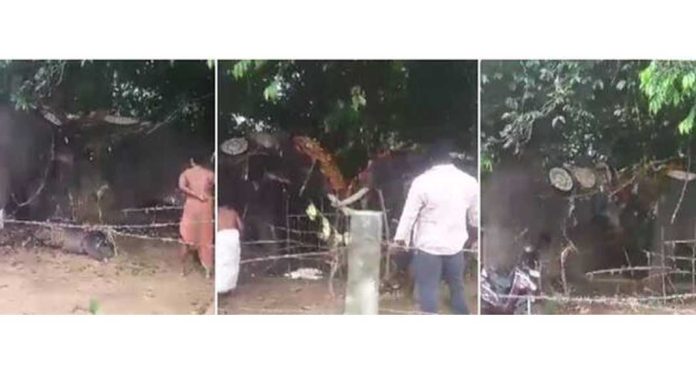 തൃശ്ശൂർ മുറ്റിച്ചൂർ അയ്യപ്പൻകാവ് ക്ഷേത്രത്തിൽ ഉത്സവത്തിനിടെ ആന ഇടഞ്ഞു തൃശ്ശൂർ മുറ്റിച്ചൂർ അയ്യപ്പൻകാവ് ക്ഷേത്രത്തിൽ ഉത്സവത്തിനിടെ ആന ഇടഞ്ഞു